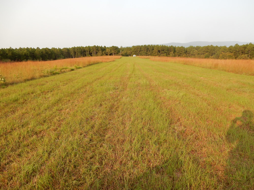 Panorama LZ