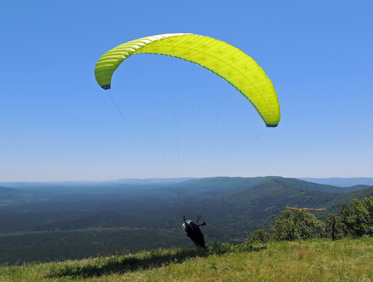 launching at Panorama